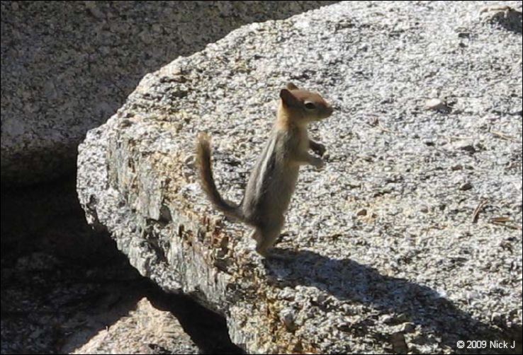 2009-07_jmt_evolution_286.jpg