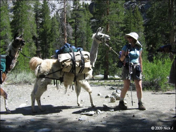 2009-07_jmt_evolution_310.jpg