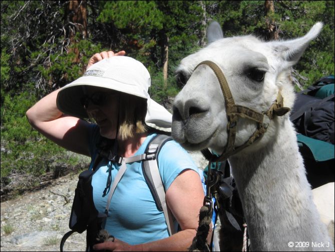 2009-07_jmt_evolution_313.jpg
