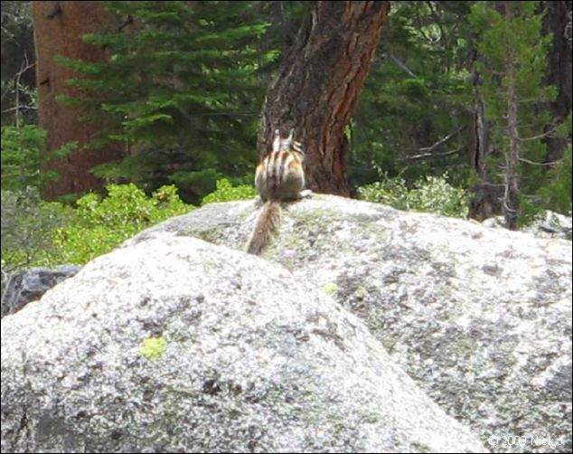 2009-07_jmt_evolution_314.jpg