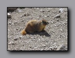 Click to enlarge 2009-07_jmt_evolution_228.jpg