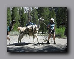 Click to enlarge 2009-07_jmt_evolution_310.jpg