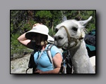 Click to enlarge 2009-07_jmt_evolution_313.jpg