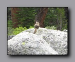 Click to enlarge 2009-07_jmt_evolution_314.jpg