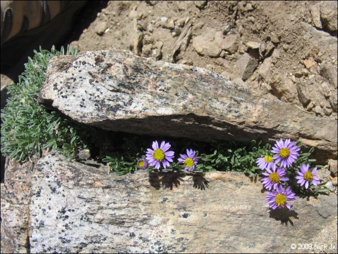 2009-07_jmt_evolution_016.jpg