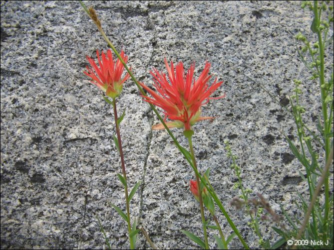2009-07_jmt_evolution_042.jpg