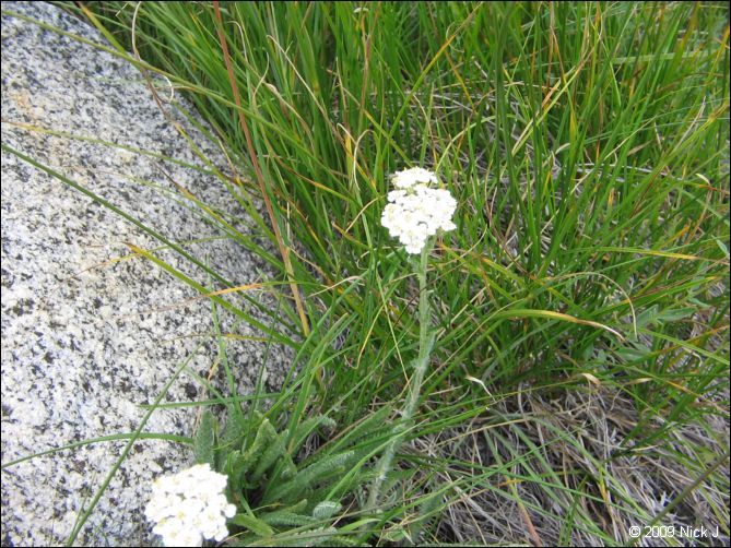 2009-07_jmt_evolution_044.jpg
