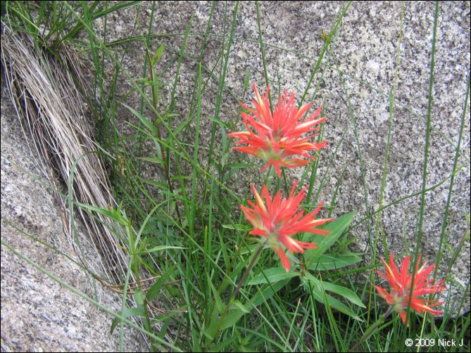 2009-07_jmt_evolution_047.jpg