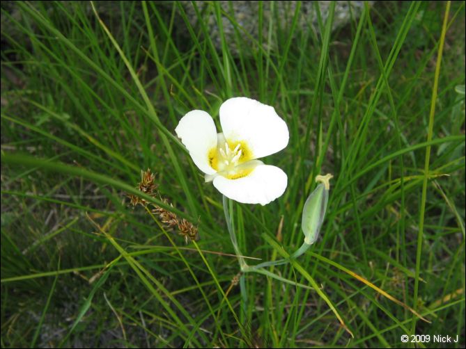 2009-07_jmt_evolution_048.jpg