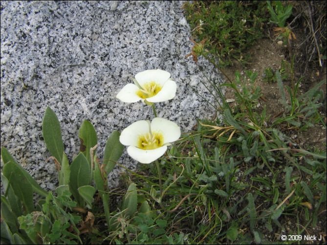 2009-07_jmt_evolution_050.jpg