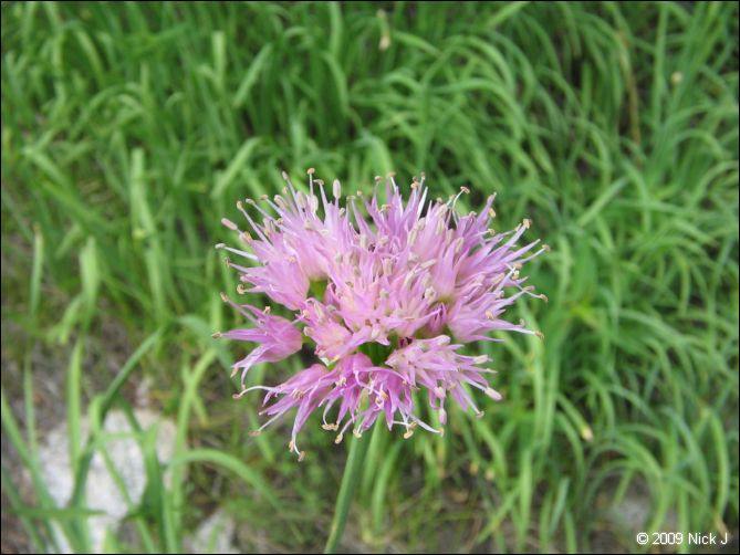 2009-07_jmt_evolution_058.jpg