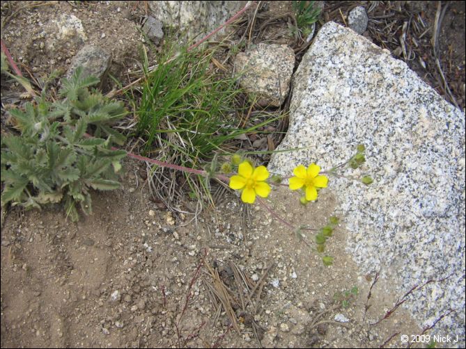 2009-07_jmt_evolution_062.jpg