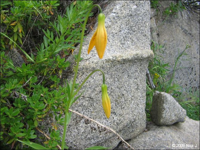 2009-07_jmt_evolution_067.jpg