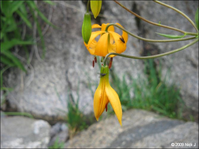 2009-07_jmt_evolution_073.jpg