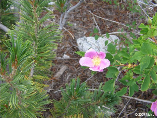 2009-07_jmt_evolution_074.jpg