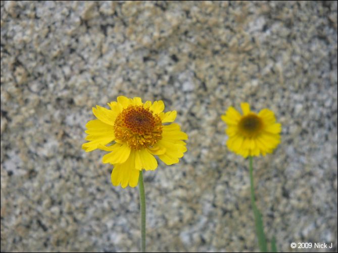 2009-07_jmt_evolution_079.jpg