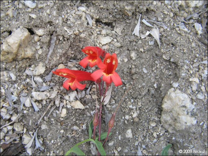 2009-07_jmt_evolution_084.jpg