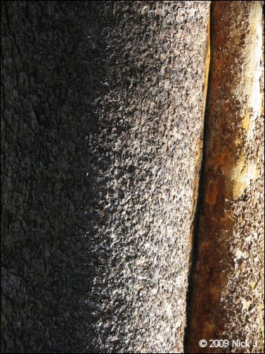 2009-07_jmt_evolution_119.jpg