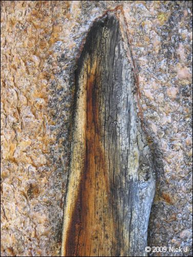 2009-07_jmt_evolution_121.jpg