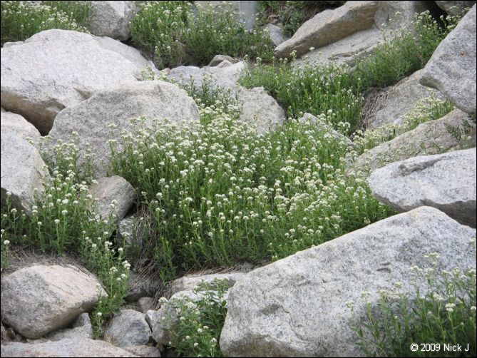 2009-07_jmt_evolution_146.jpg