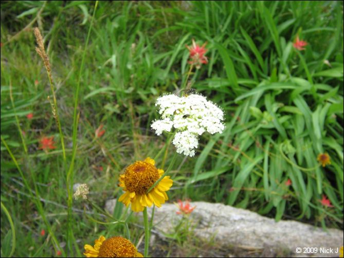 2009-07_jmt_evolution_154.jpg