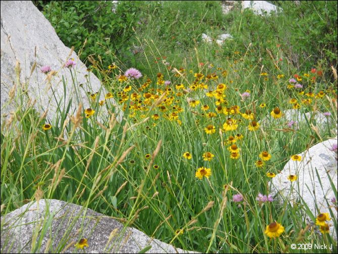 2009-07_jmt_evolution_157.jpg