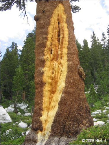 2009-07_jmt_evolution_176.jpg