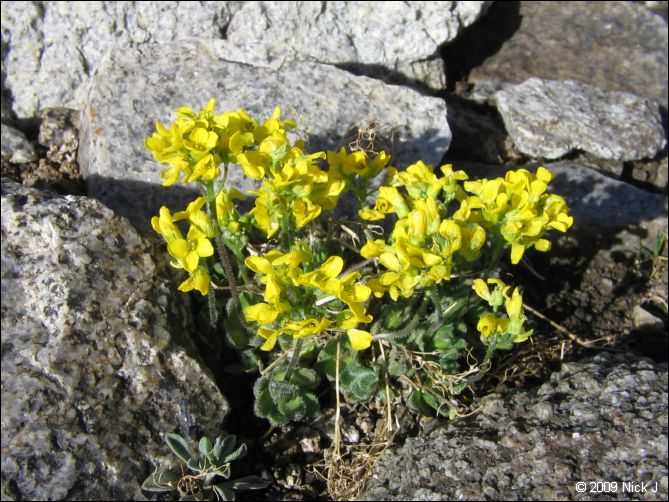 2009-07_jmt_evolution_205.jpg