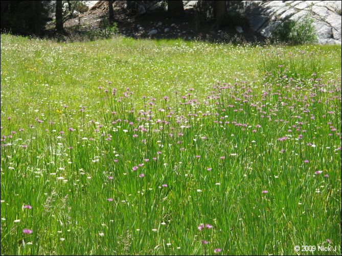 2009-07_jmt_evolution_267.jpg