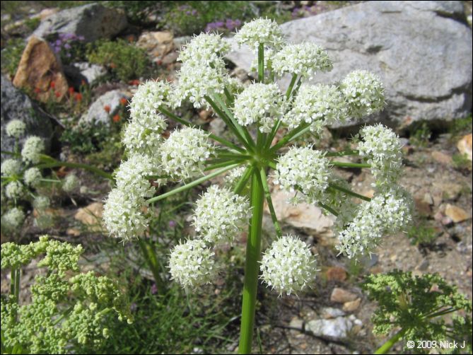 2009-07_jmt_evolution_395.jpg