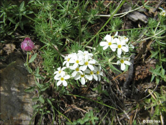 2009-07_jmt_evolution_401.jpg