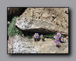 Click to enlarge 2009-07_jmt_evolution_016.jpg