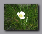 Click to enlarge 2009-07_jmt_evolution_048.jpg