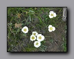 Click to enlarge 2009-07_jmt_evolution_054.jpg