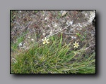 Click to enlarge 2009-07_jmt_evolution_057.jpg