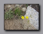 Click to enlarge 2009-07_jmt_evolution_062.jpg