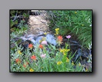 Click to enlarge 2009-07_jmt_evolution_105.jpg