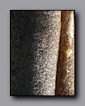 Click to enlarge 2009-07_jmt_evolution_119.jpg