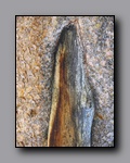 Click to enlarge 2009-07_jmt_evolution_121.jpg