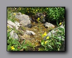 Click to enlarge 2009-07_jmt_evolution_145.jpg