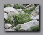Click to enlarge 2009-07_jmt_evolution_146.jpg