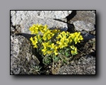 Click to enlarge 2009-07_jmt_evolution_205.jpg