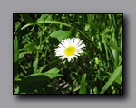 Click to enlarge 2009-07_jmt_evolution_405.jpg
