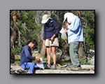 Click to enlarge 2009-07_jmt_evolution_287.jpg
