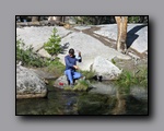 Click to enlarge 2009-07_jmt_evolution_295.jpg