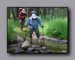 Click to enlarge 2009-07_jmt_evolution_355.jpg