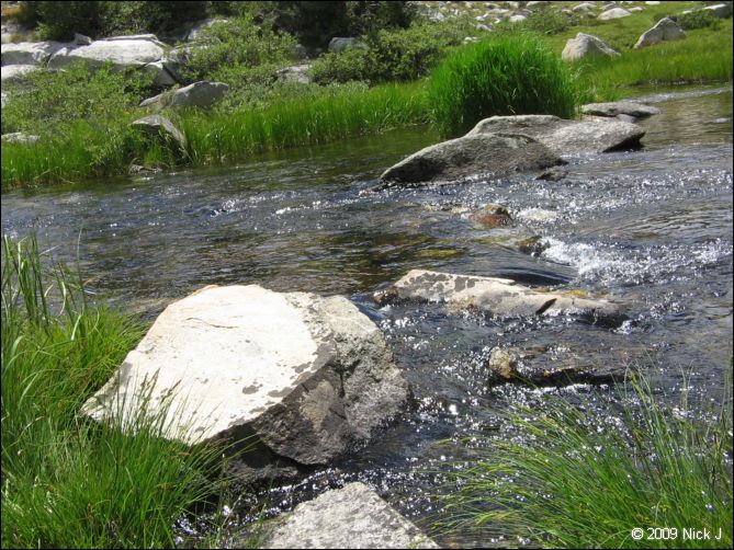 2009-07_jmt_evolution_032.jpg