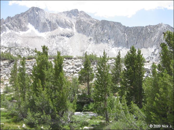2009-07_jmt_evolution_035.jpg
