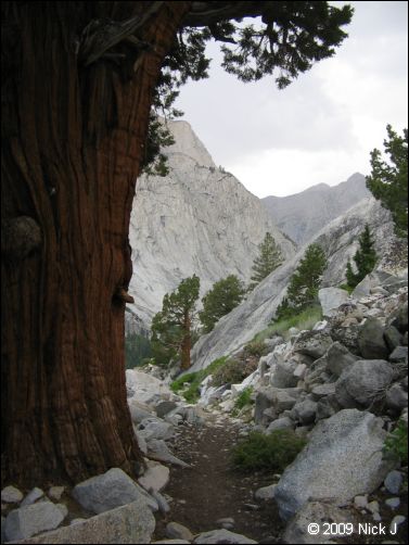 2009-07_jmt_evolution_088.jpg