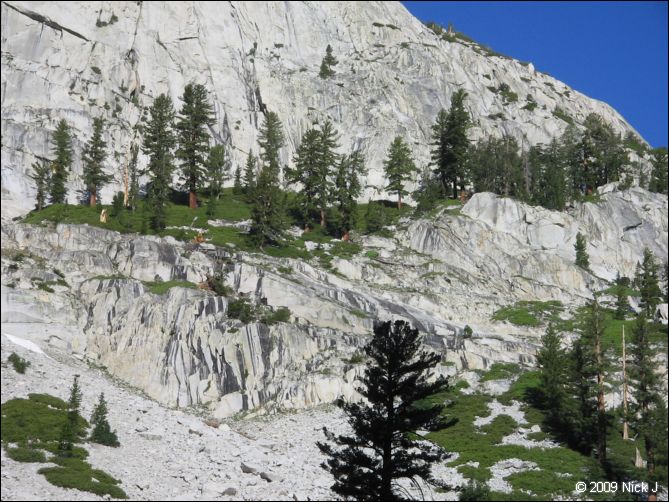 2009-07_jmt_evolution_111.jpg